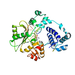 BU of 5dkw by Molmil