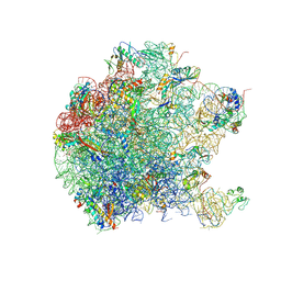 BU of 5dm6 by Molmil