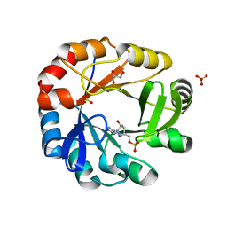 BU of 5dn1 by Molmil