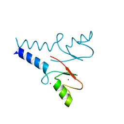 AU of 5dng by Molmil