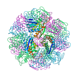 BU of 5dnl by Molmil