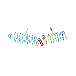 BU of 5dns by Molmil