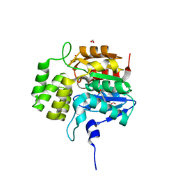 BU of 5dnv by Molmil