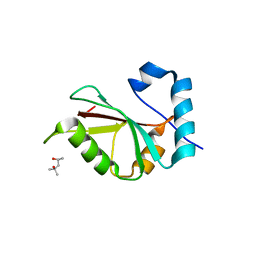 BU of 5dpt by Molmil