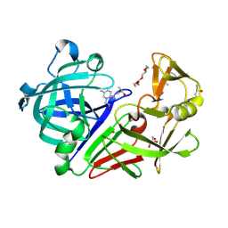 BU of 5dr4 by Molmil