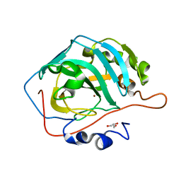 AU of 5dsn by Molmil