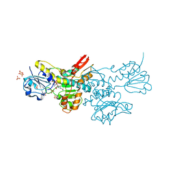 BU of 5dt9 by Molmil