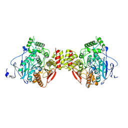 BU of 5dti by Molmil