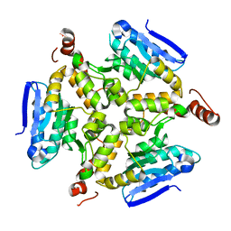 BU of 5dtp by Molmil