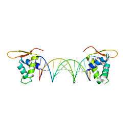 BU of 5dui by Molmil