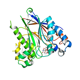 BU of 5dv4 by Molmil