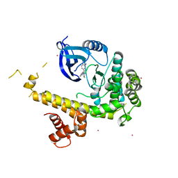 AU of 5dvt by Molmil