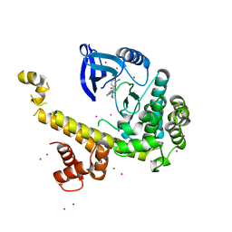 AU of 5dvu by Molmil