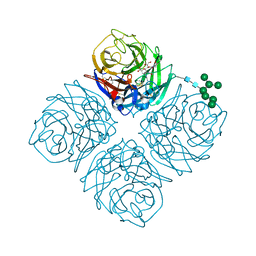 AU of 5e6l by Molmil