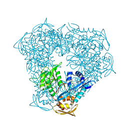 BU of 5ebv by Molmil