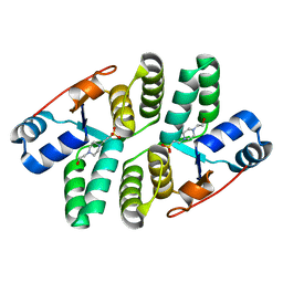 BU of 5ecd by Molmil