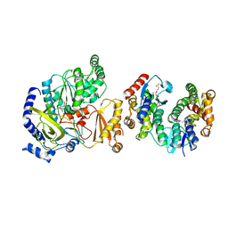 BU of 5ecm by Molmil