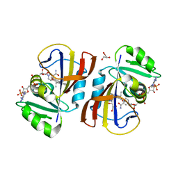 BU of 5ecx by Molmil