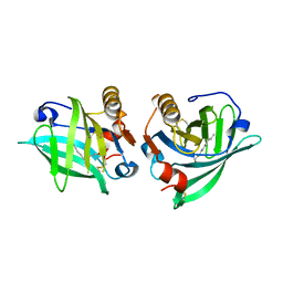 AU of 5eed by Molmil