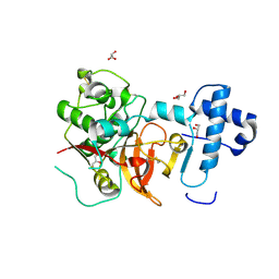 BU of 5ef4 by Molmil