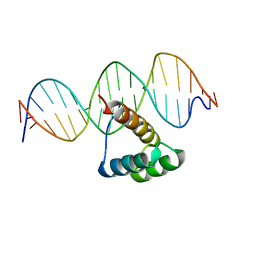 BU of 5ef6 by Molmil