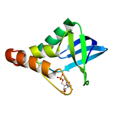 BU of 5egt by Molmil