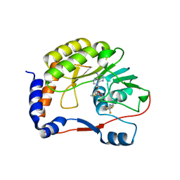 BU of 5eiw by Molmil