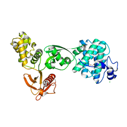 BU of 5ejy by Molmil