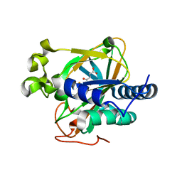 BU of 5epa by Molmil