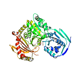 BU of 5epc by Molmil