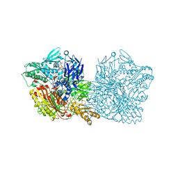 BU of 5epg by Molmil