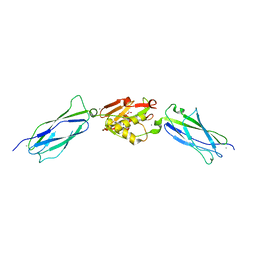 BU of 5eq4 by Molmil