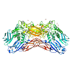 BU of 5euv by Molmil