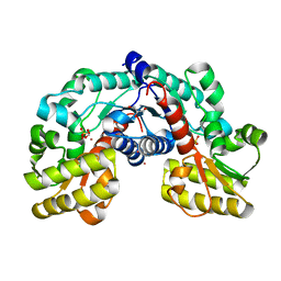 BU of 5evc by Molmil