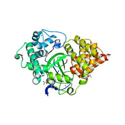 BU of 5ex0 by Molmil