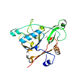 BU of 5ex2 by Molmil