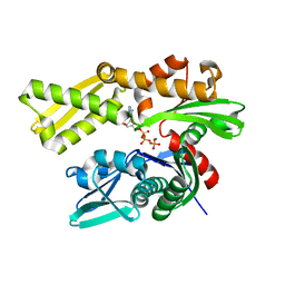 BU of 5ex5 by Molmil