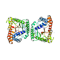 BU of 5f4s by Molmil