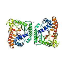 BU of 5f4w by Molmil