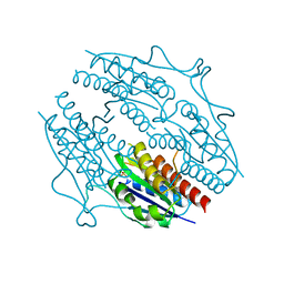 BU of 5f51 by Molmil