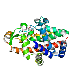 BU of 5fbd by Molmil