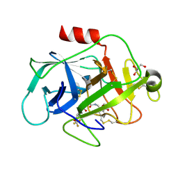 BU of 5fbe by Molmil