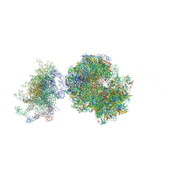 BU of 5fci by Molmil