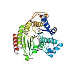 BU of 5fcw by Molmil