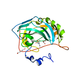 BU of 5fdc by Molmil