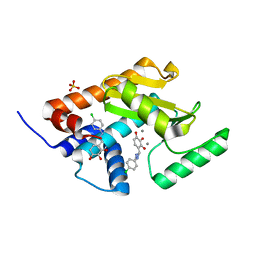 AU of 5fde by Molmil