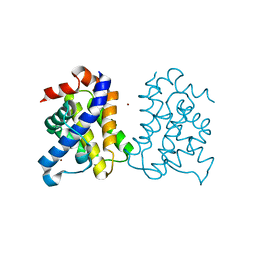 BU of 5fmi by Molmil