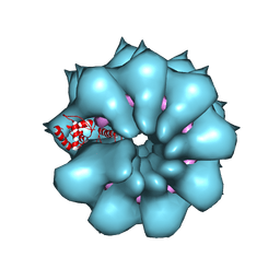 BU of 5fn1 by Molmil