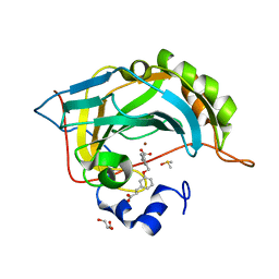 BU of 5fnl by Molmil