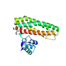 BU of 5fnp by Molmil